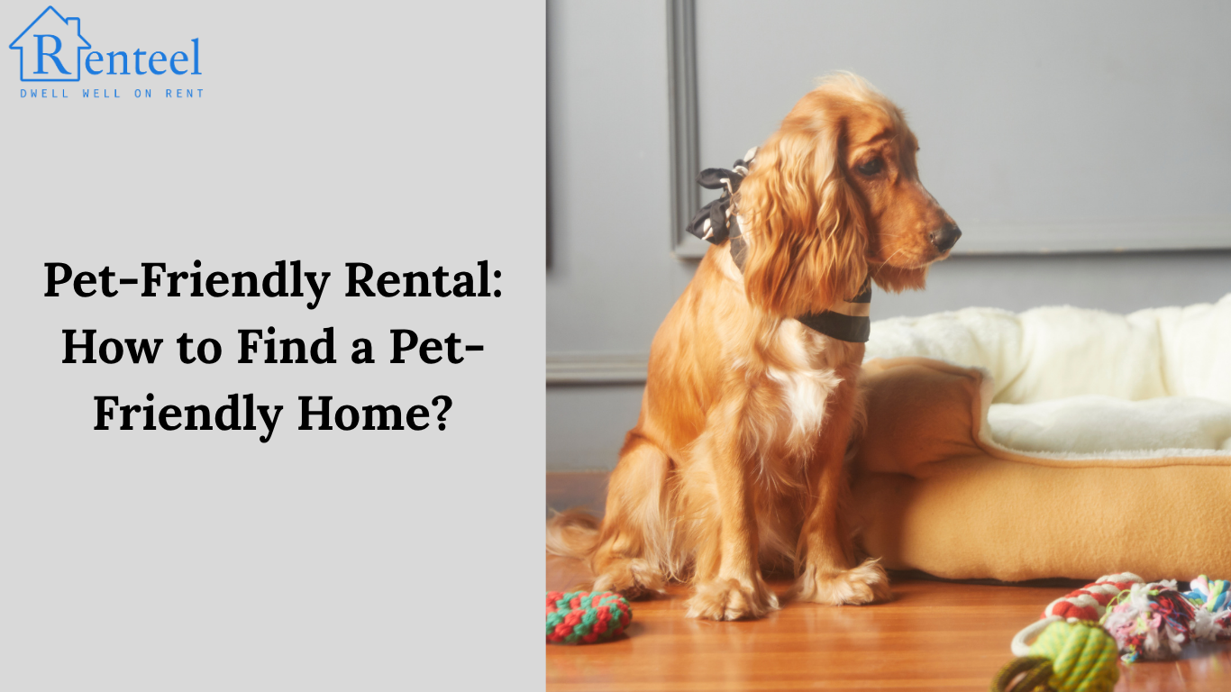 Pet-Friendly Rental: How to Find a Pet-Friendly Home?